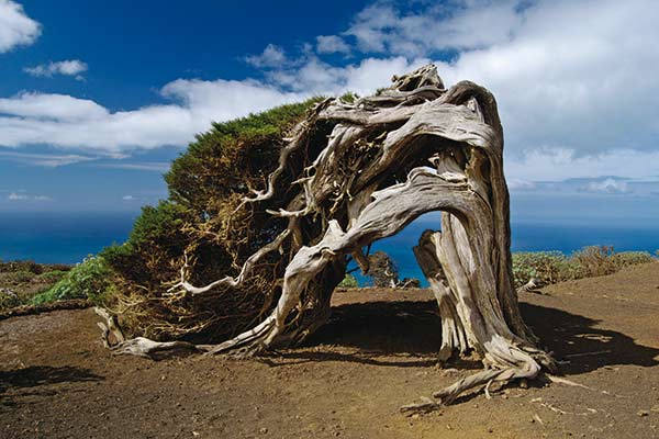 El Hierro 04