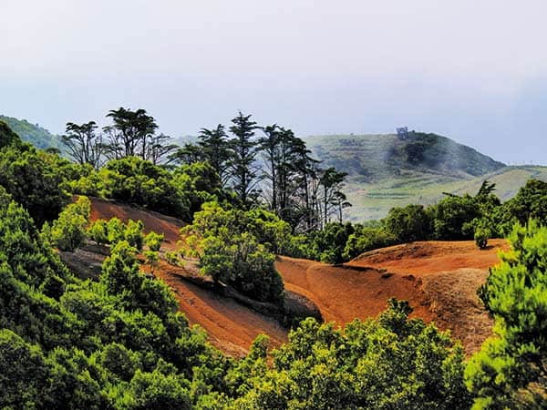 El Hierro 05