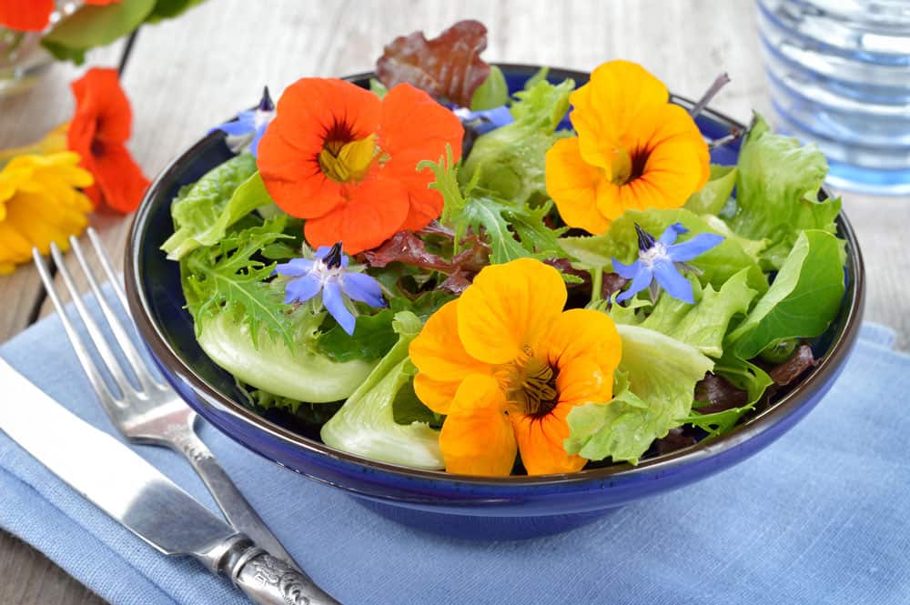 Trendy food flower power