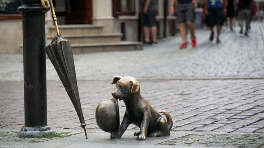 Torun pomnik psa Filusia