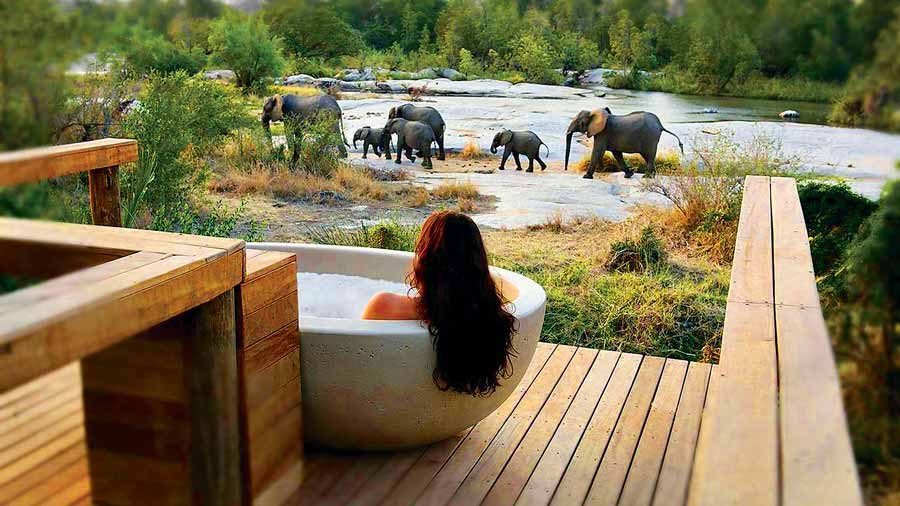 Hotele Marzen Londolozi Private