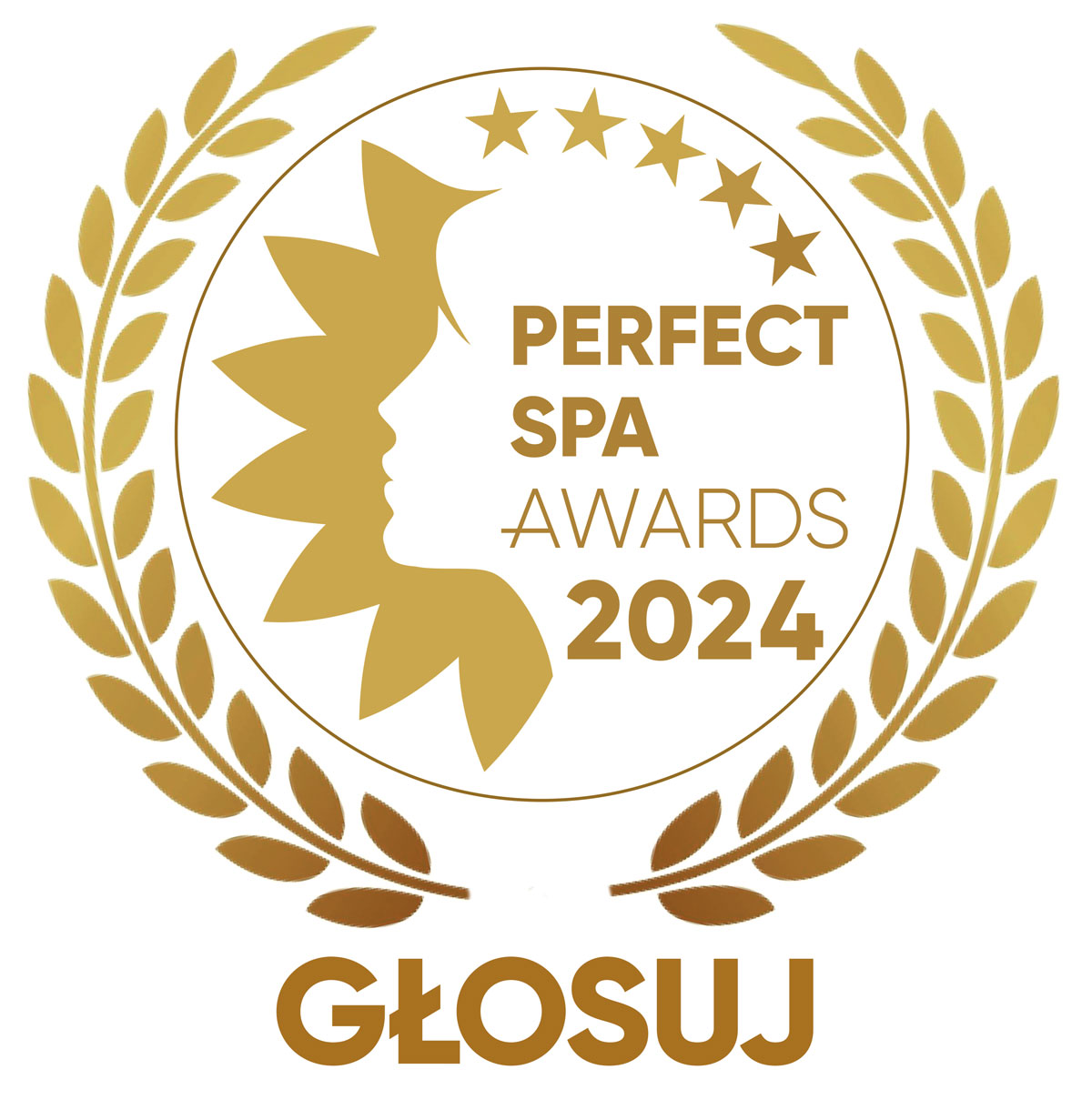 LOGO PERFECT SPA AWARDS 14 glosuj