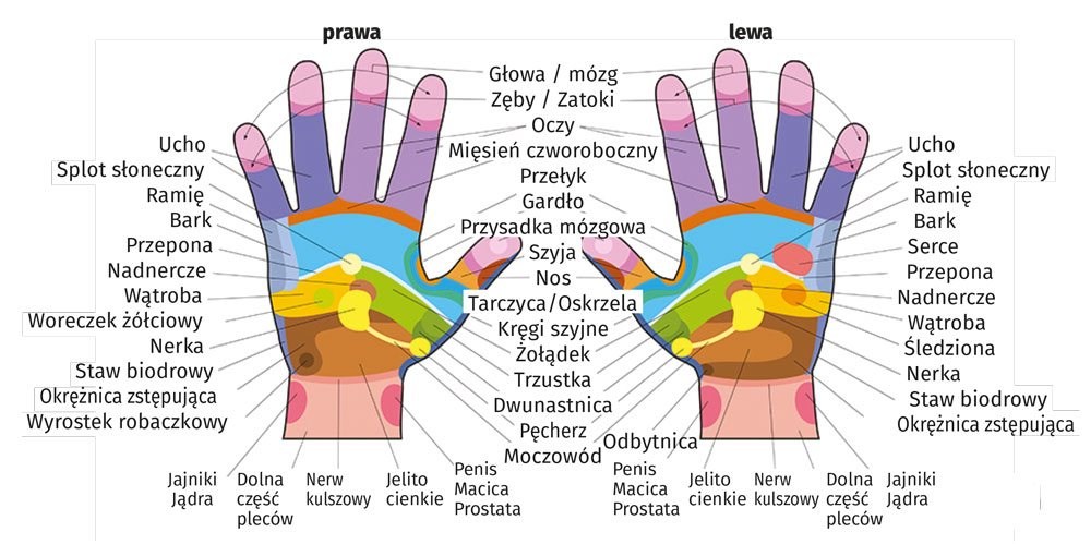 Mapa dloni