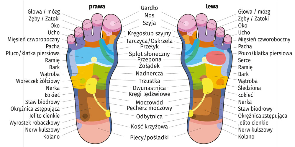 Mapa stóp