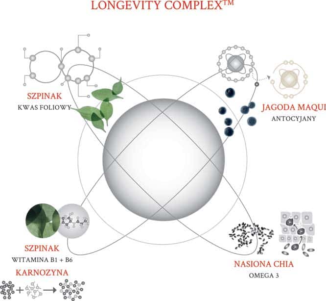 Diagram longevity