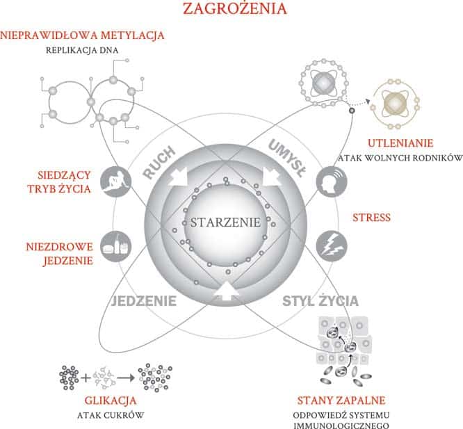 Diagram zagrozenia