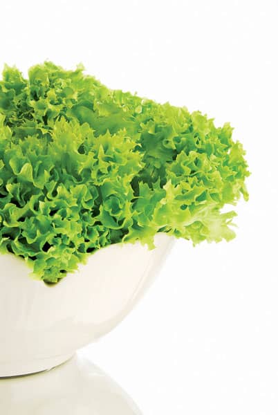 salata